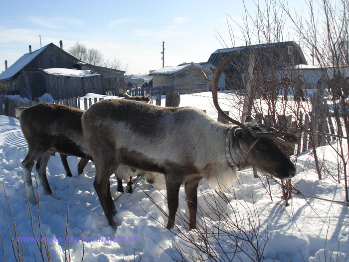 NEXT    (DSC05844.html)