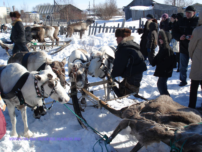 NEXT    (DSC05878.html)