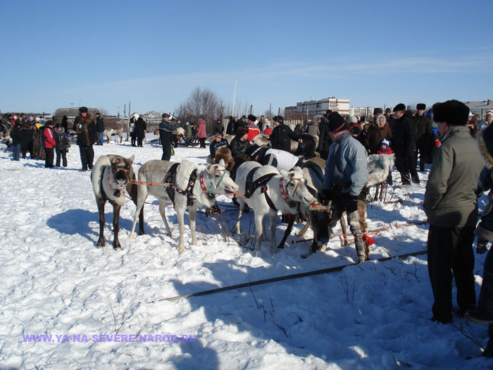 NEXT    (DSC05880.html)