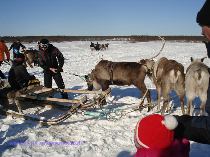 NEXT    (DSC05884.html)