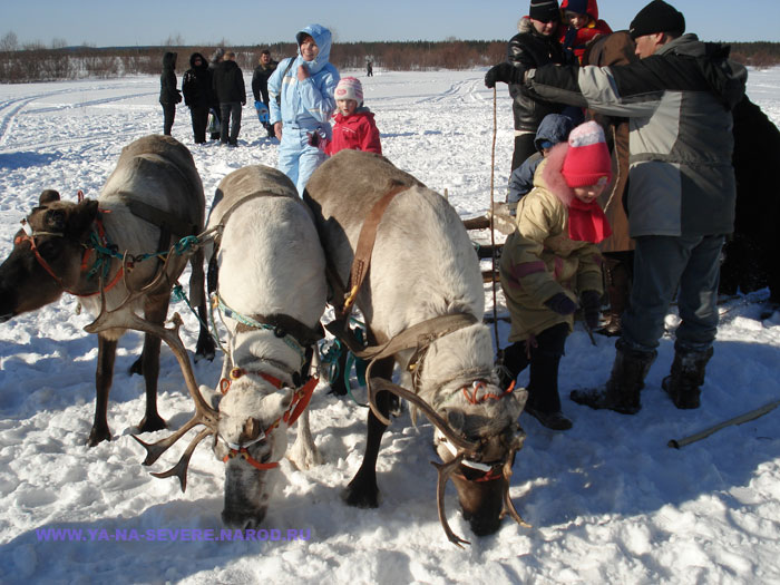 NEXT    (DSC05890.html)