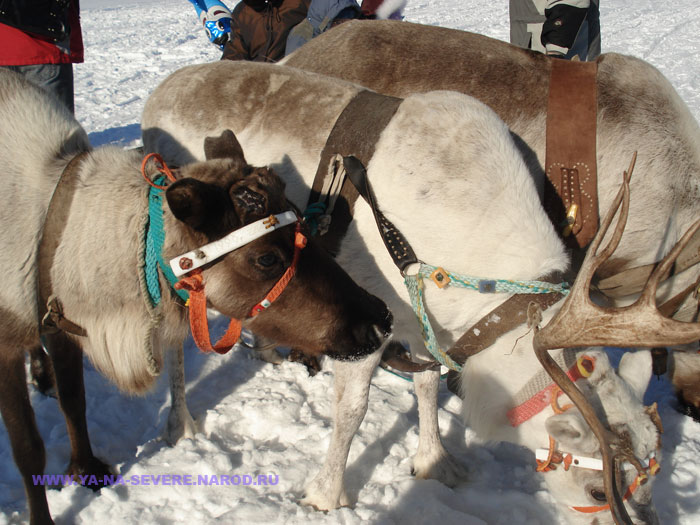 NEXT    (DSC05891.html)