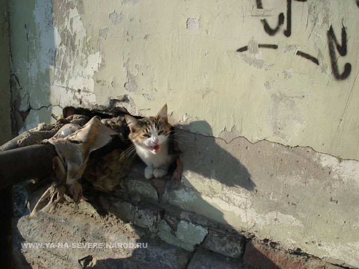 NEXT    (DSC06382.html)