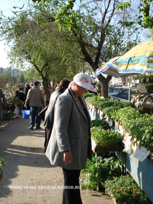 NEXT    (DSC06434.html)