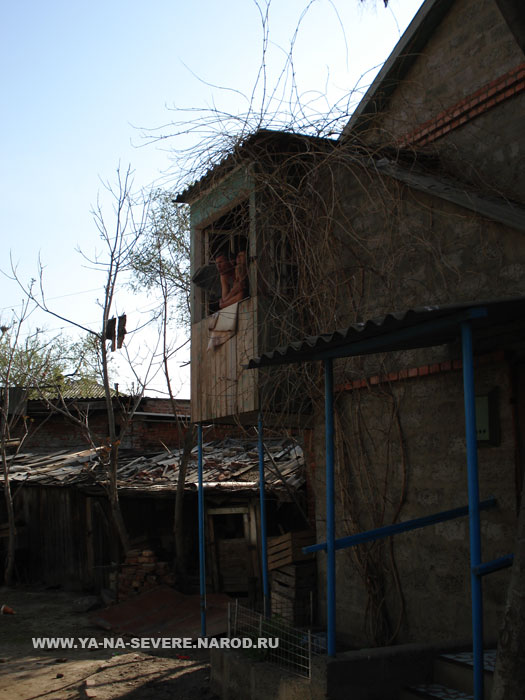 NEXT    (DSC06492.html)