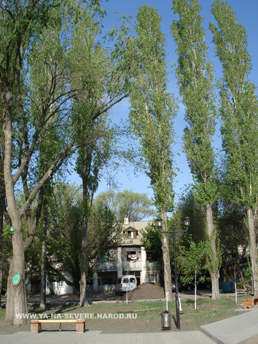NEXT    (DSC06507.html)