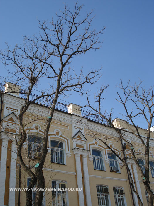 NEXT    (DSC06536.html)
