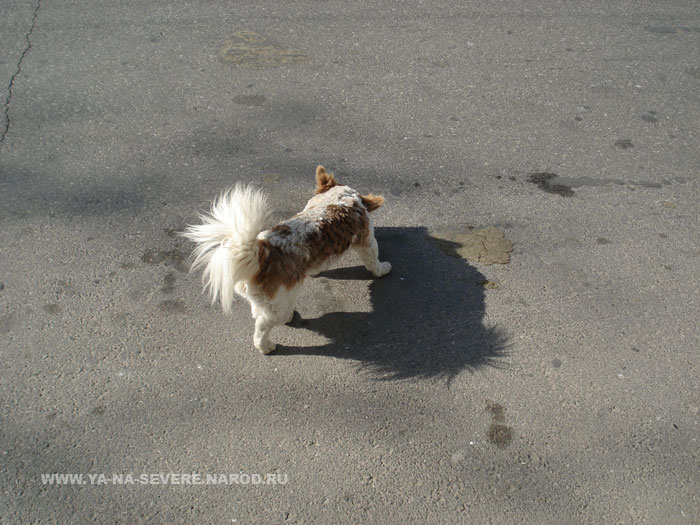 NEXT    (DSC06538.html)