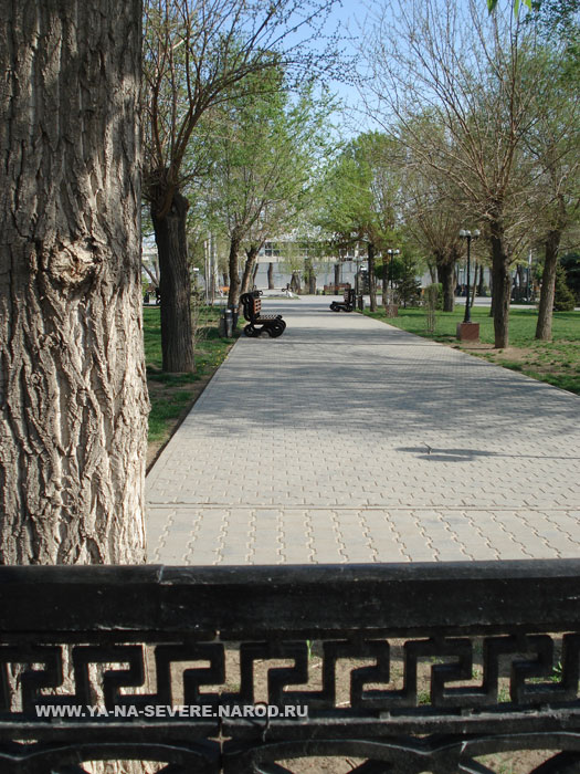 NEXT    (DSC06546.html)