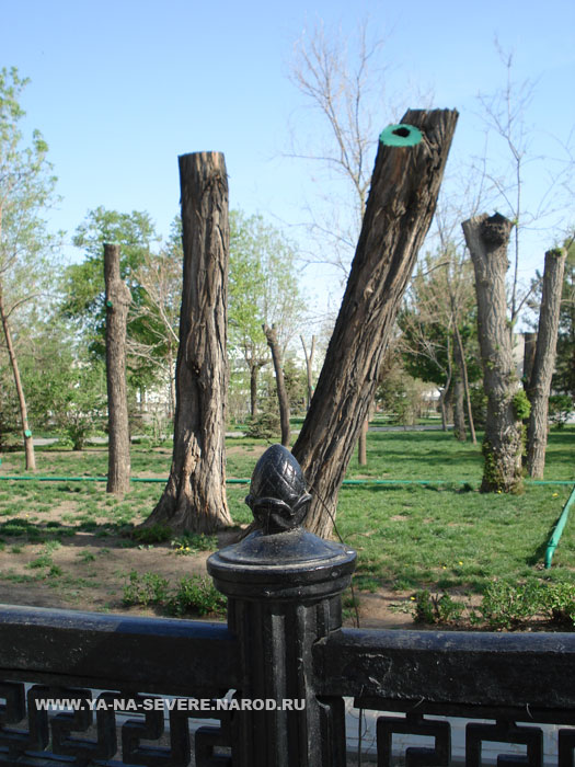 NEXT    (DSC06547.html)