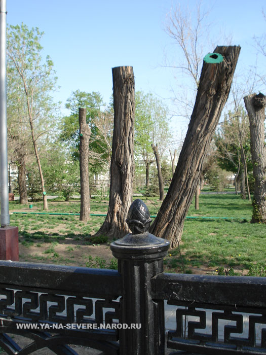NEXT    (DSC06548.html)