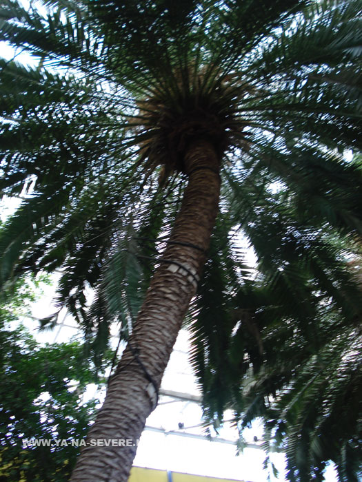 NEXT    (DSC06614.html)