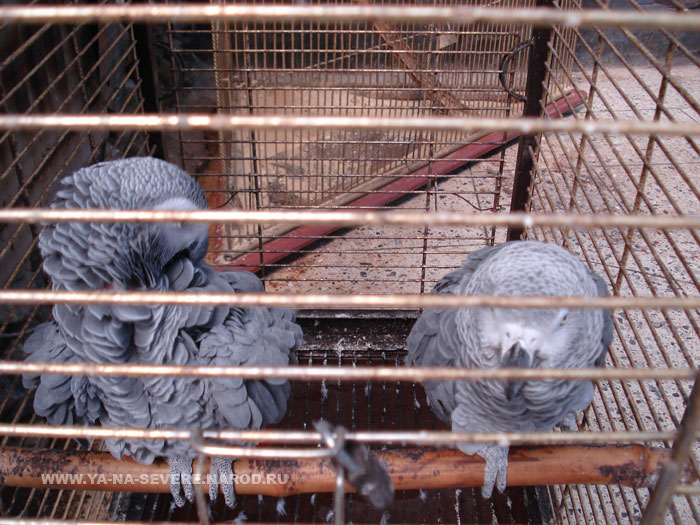 NEXT    (DSC06625.html)