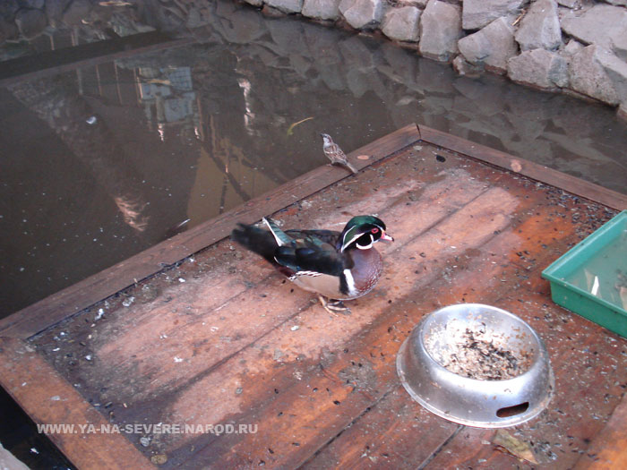 NEXT    (DSC06635.html)