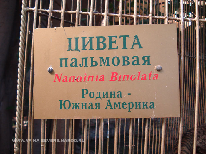 NEXT    (DSC06639.html)