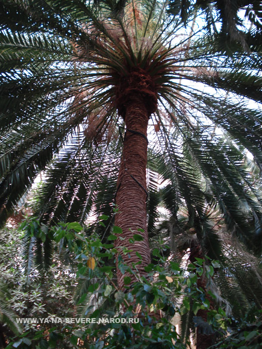 NEXT    (DSC06675.html)
