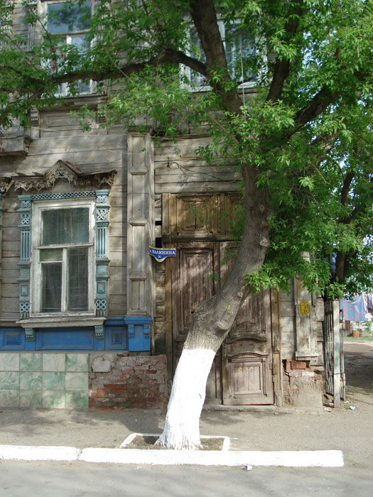 NEXT    (DSC06712.html)