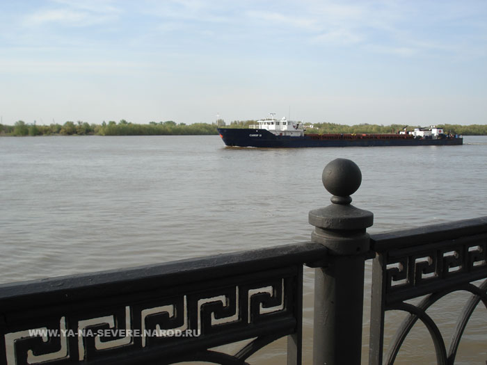 NEXT    (DSC06782.html)