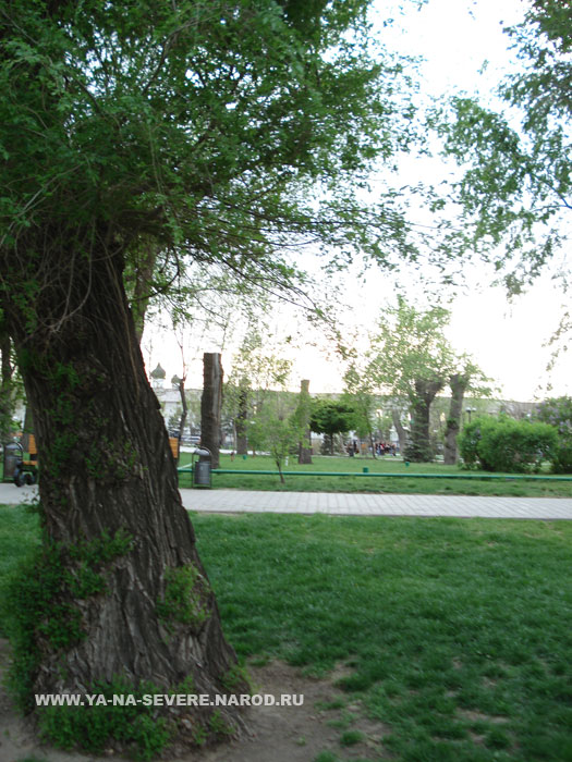 NEXT    (DSC06866.html)