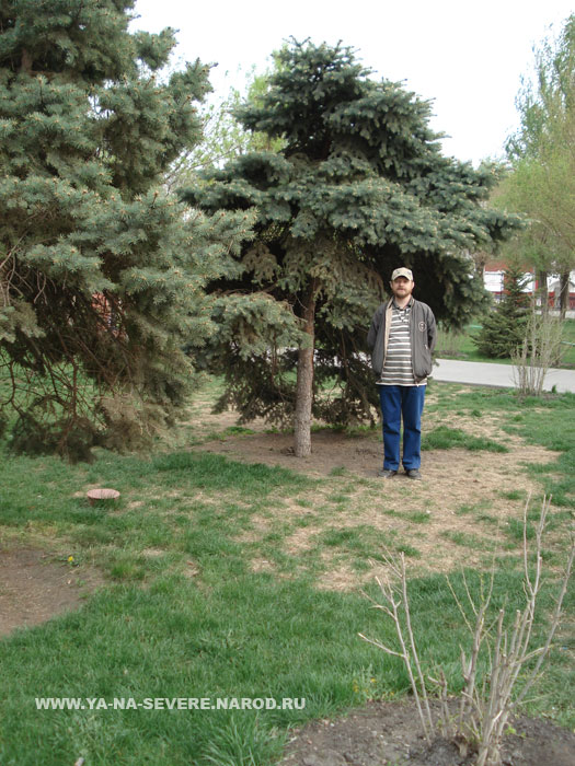 NEXT    (DSC06871.html)