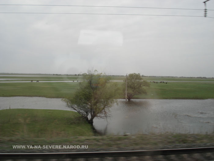 NEXT    (DSC06906.html)