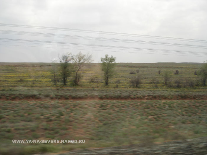 NEXT    (DSC06916.html)