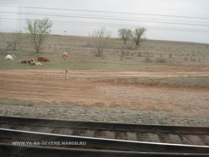 NEXT    (DSC06930.html)