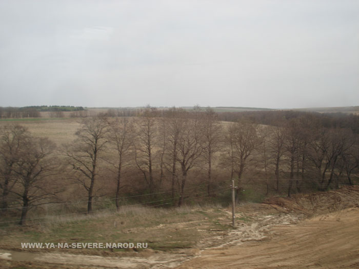 NEXT    (DSC06990.html)