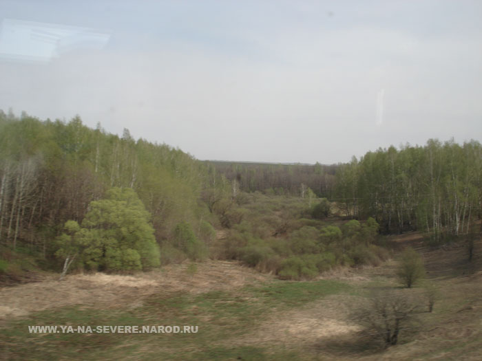 NEXT    (DSC07012.html)